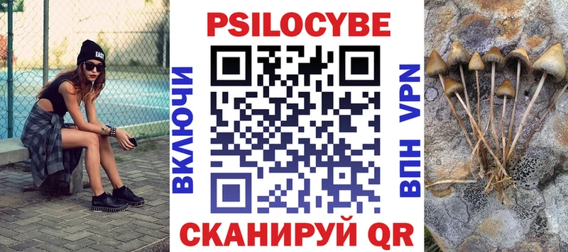 купить наркотик  Абдулино  Галлюциногенные грибы Cubensis 